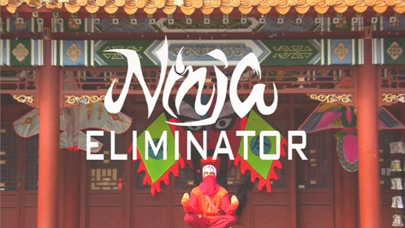 Ninja Eliminator 1 copy