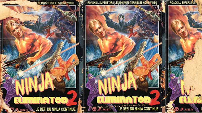 ninja eliminator 2 copy