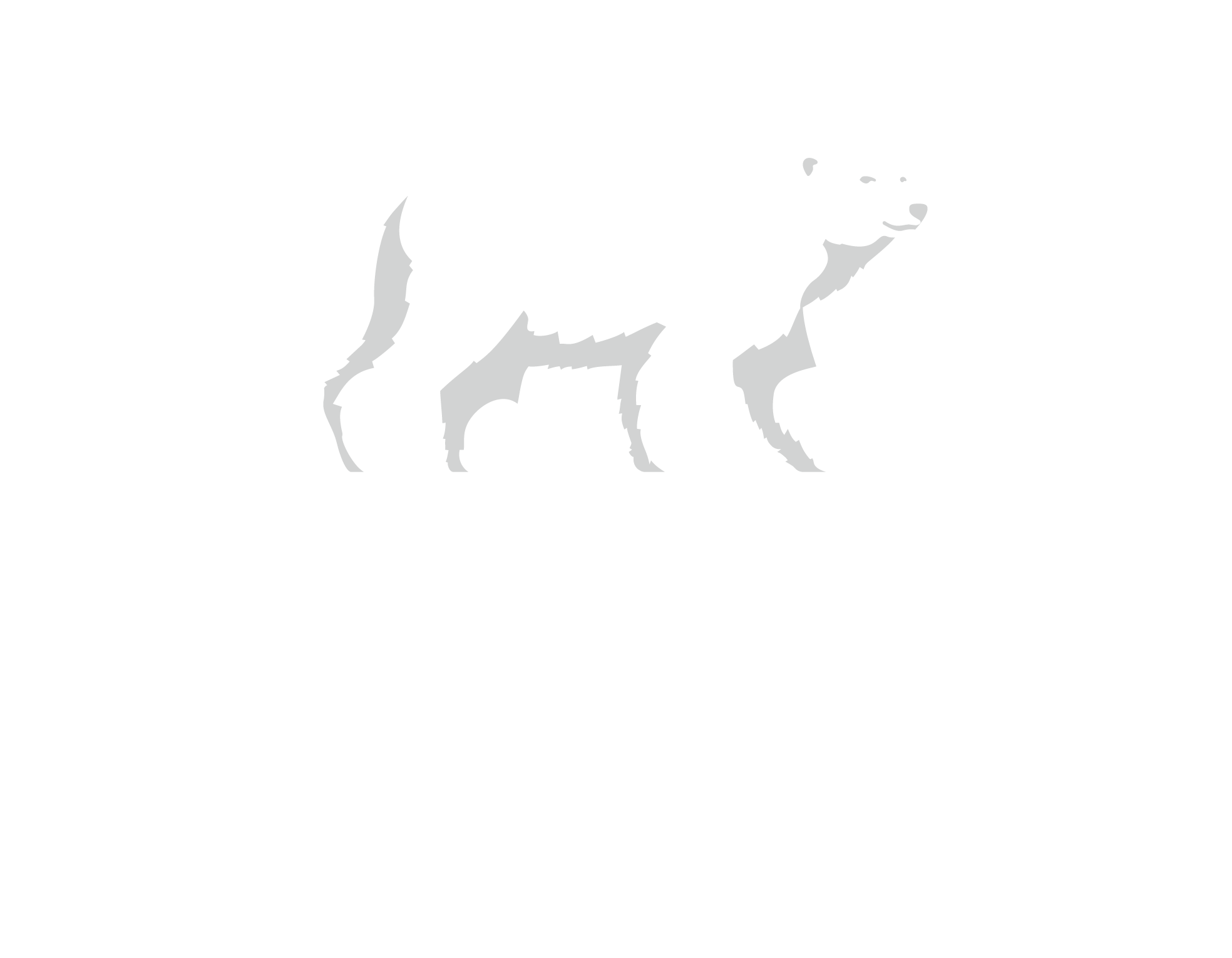 Logo_Boreale_V_RENV_rgb